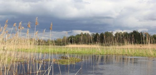 Рибалка біля села Зубільне у Волинській області