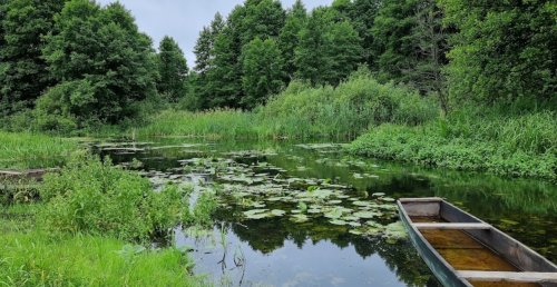 Рибалка біля села Зубільне у Волинській області