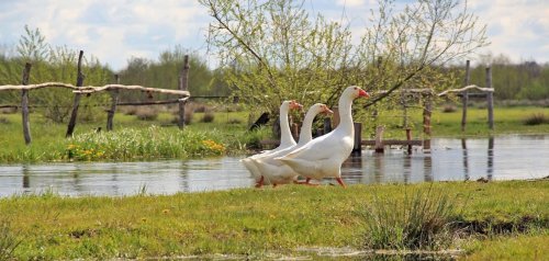 Рибалка біля села Зубільне у Волинській області