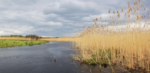Рибалка біля села Зубільне у Волинській області