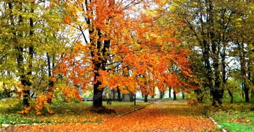 Рибалка у місті Горохів у Волинській області