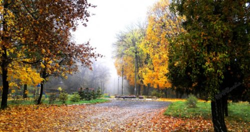 Рибалка у місті Горохів у Волинській області