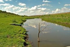 Рыбалка в посёлке Клевань в Ровенской области-1