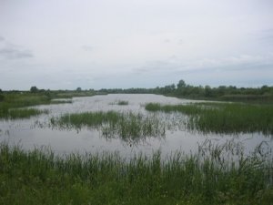 Рыбалка в селе Берестовец в Ровенской области-2