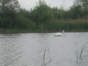 Рыбалка в селе Берестовец в Ровенской области-3
