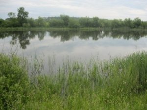 Рыбалка в селе Берестовец в Ровенской области-1