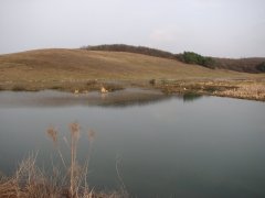 Рыбалка в селе Долгошии Ровенской области-1