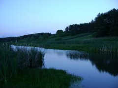 Рыбалка в селе Новоселовка в Ровенской области-1