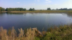 Рыбалка в селе Перевередов в Ровенской области-3