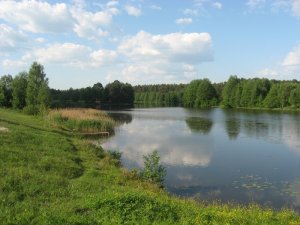 Рыбалка в селе Жильжа в Ровенской области-3