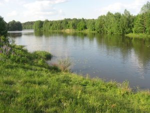 Рыбалка в селе Жильжа в Ровенской области-1