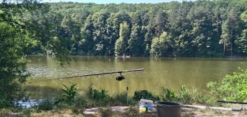 Базаринецький ставок у Тернопільській області