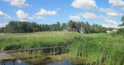 Червонооскольское водохранилище 