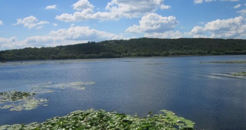 Червонооскольское водохранилище 