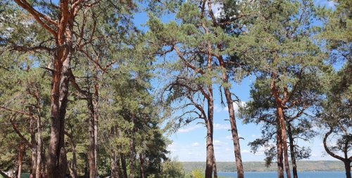 Червонооскольское водохранилище 