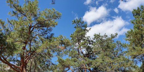 Червонооскольское водохранилище 