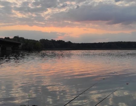 Червонооскольское водохранилище 