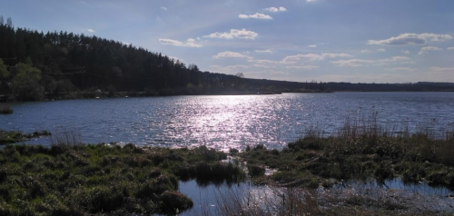 Івачовське водосховище в Тернопільській області