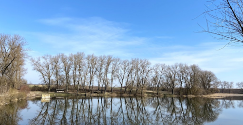 Ставок Ангелівка в Тернопільській області
