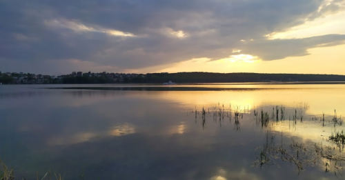 Ставок Фінансового інституту в Тернопільській області