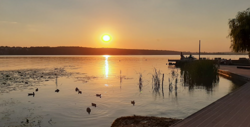 Ставок Фінансового інституту в Тернопільській області