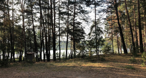 Ставок Вирля в Тернопільській області