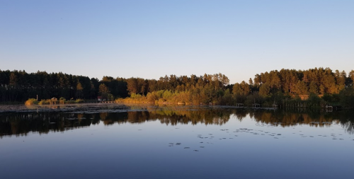 Ставок Вирля в Тернопільській області