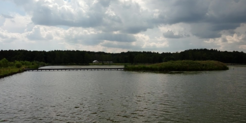 Ставок Вирля в Тернопільській області