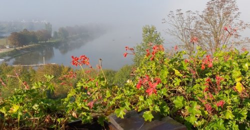 Риболовля Кашлатівка в Тернопільській області