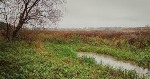 Рыбалка в с. Купчинци на реке Стрыпа 