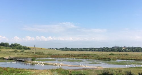 Рыбалка в с. Купчинци на реке Стрыпа 