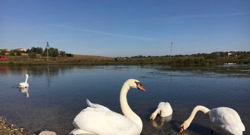 Рыбалка в с. Купчинци на реке Стрыпа 