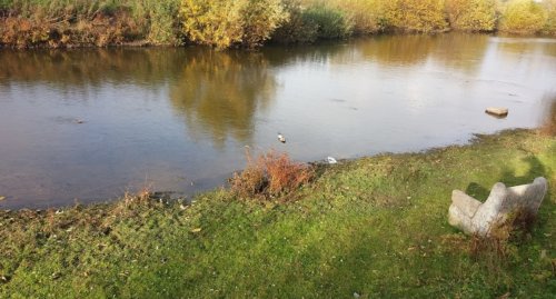 Рыбалка в с. Купчинци на реке Стрыпа 