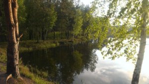 Рыбалка на ставке Очедера у села Ивановка в Ровенской области-4