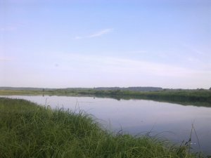 Рыбалка у села Александрия в Ровенской области-2