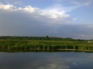 Рыбалка у села Александрия в Ровенской области-4