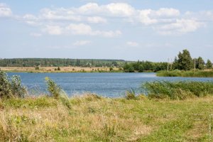 Рыбалка у села Кринички в Ровенской области-1