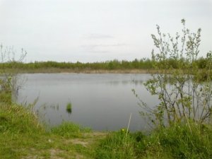 Рыбалка у села Новая Любомирка в Ровенской области-1