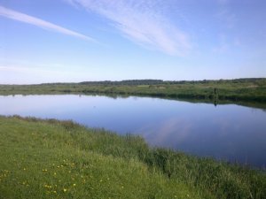 Рыбалка у села Пухова в Ровенской области-3