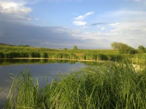 Рыбалка у села Пухова в Ровенской области-1