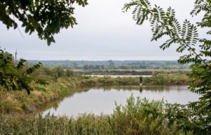 Рыбалка у села Сергеевка в Ровенской области-2