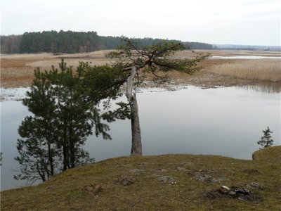 Рыбалка у села Солонев в Ровенской области-3