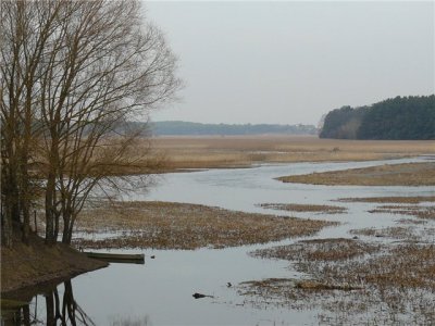 Рыбалка у села Солонев в Ровенской области-4