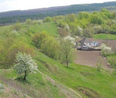 Рыбалка у села Сребное в Черниговской области-2