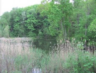 Рыбалка у села Сребное в Черниговской области-4