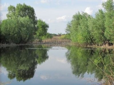 Рыбалка у села Сребное в Черниговской области-1