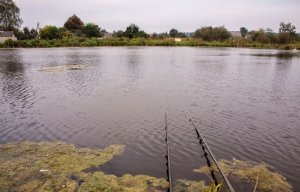 Рыбалка у села Святье в Ровенской области-3