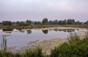 Рыбалка у села Святье в Ровенской области-1