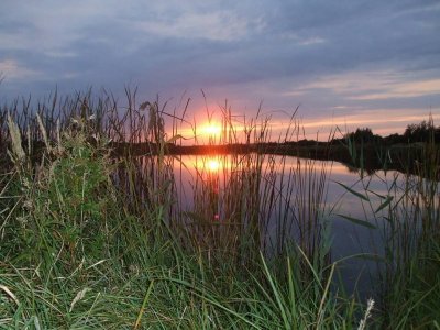 Рыбалка у села Волица в Львовской области-2