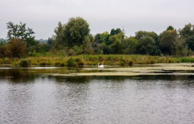 Рыбалка у села Заречное 
